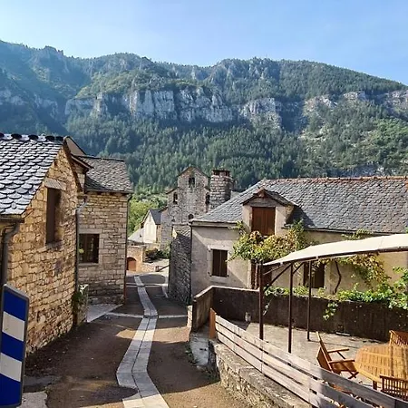 La Cardabelle *